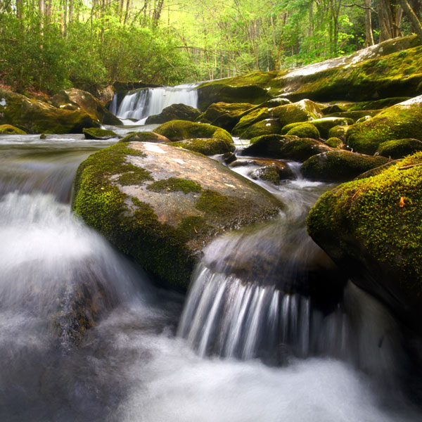 Cascading River in the Great Smoky Mountains National Park - Landscape and National Park Photography by Daniel Ewert