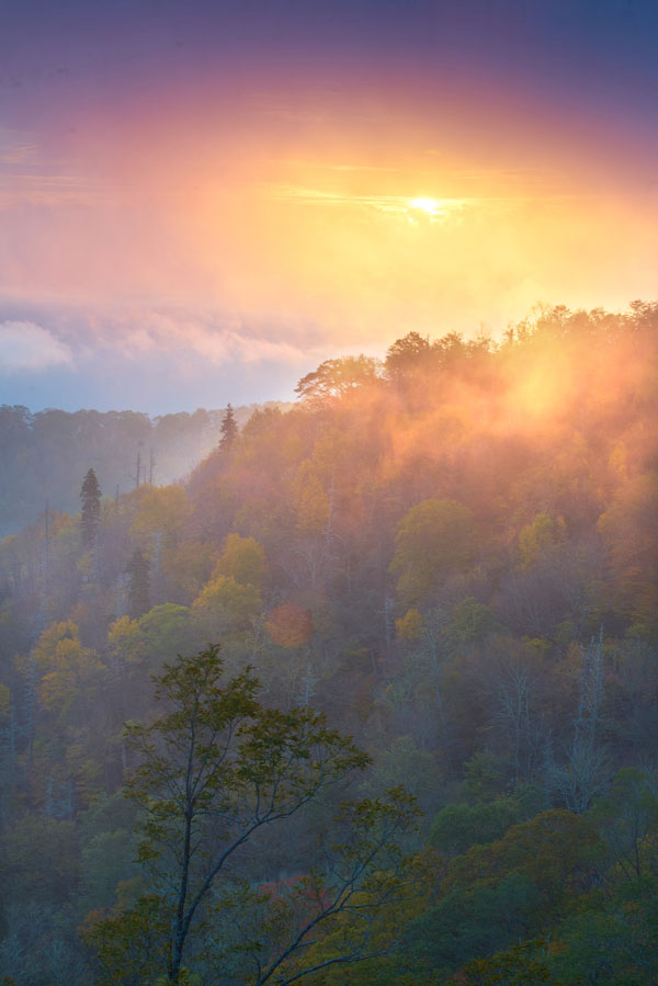 Light in the Mist, Early Autumn, Great Smoky Mountains National Park - Landscape and National Park Photography by Daniel Ewert