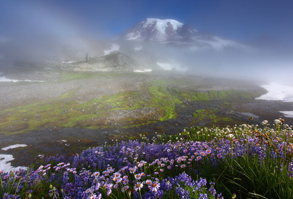 Summer Mist, Mt. Rainier National Park - Landscape and National Park Photography by Daniel Ewert