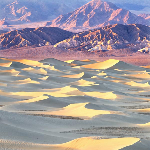 Sand Dunes in Late Afternoon Light - Landscape and National Park Photography by Daniel Ewert