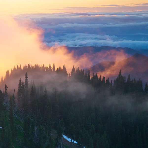 Hurricane Ridge - Olympic National Park - Landscape and National Park Photography by Daniel Ewert