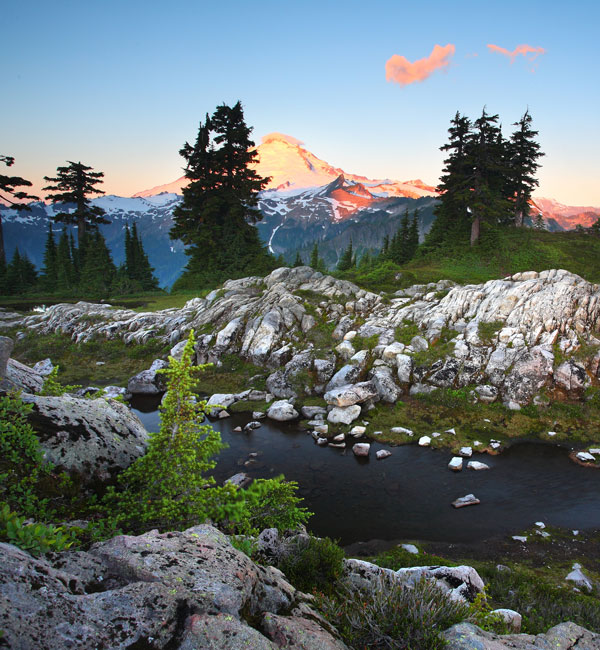Summer Morning at Mt. Baker, Washington - Landscape and National Park Photography by Daniel Ewert